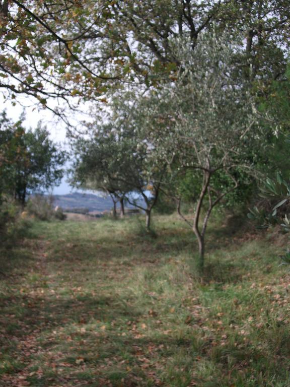 Poggio Del Conero Villa Exteriör bild
